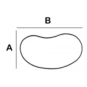 Kidney Shaped Lead Block