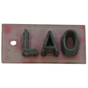 Accelerator Lead Marker LAO