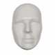 Face Form for Contouring Lead Sheets