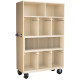 Varian Electron Cone and Block Storage Cabinet- Holds 6 Cones
