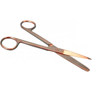 Scissors, 5 1/2 inch L