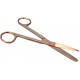 Scissors, 5 1/2 inch L