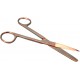 Scissors, 5 1/2 inch L