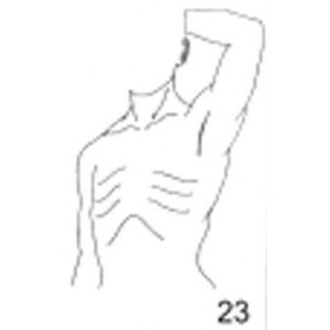 Anatomical Drawings, Left Tangential Chest Wall