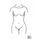Anatomical Drawings, AP Female Torso