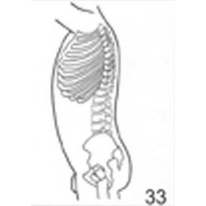 Anatomical Drawings, Left Lateral Male Torso