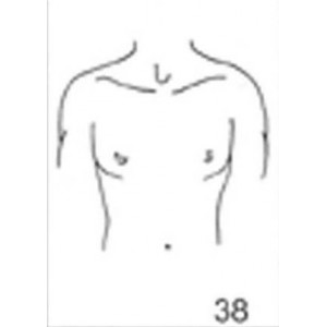 Anatomical Drawings Ap Upper Torso Male Radiation Products Design Inc