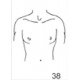 Anatomical Drawings, AP Upper Torso Male