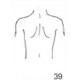Anatomical Drawings, PA Upper Torso Male