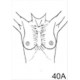 Anatomical Drawings, AP Upper Torso Female with Arms Up