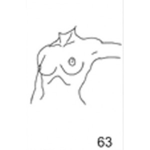 Anatomical Drawings, Left Tangential, Arm 90 degree, 2 Breasts