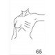 Anatomical Drawings, Left Tangential CW, Arm 90 Degree, 1 Breast
