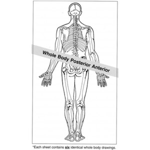 Anatomical Drawings, PA Whole Body