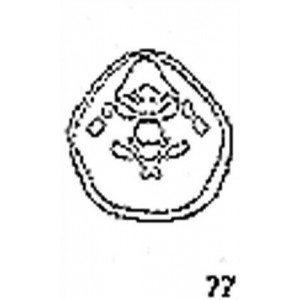 Anatomical Drawings, CT, 4th Cervical Vertebra